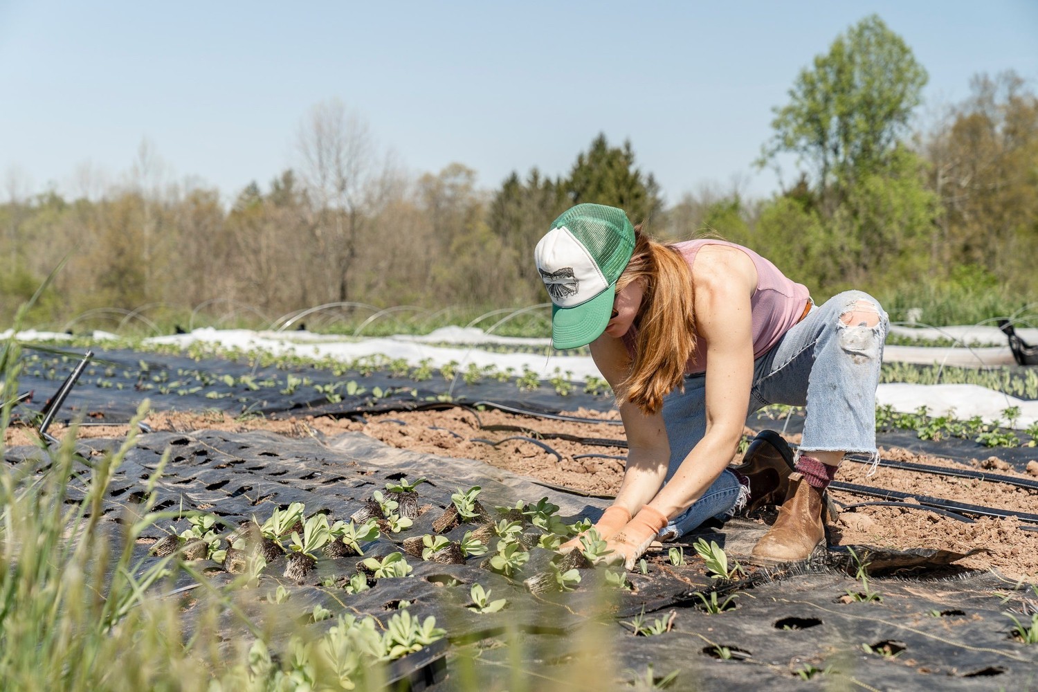 embauche-agricole-exonerations